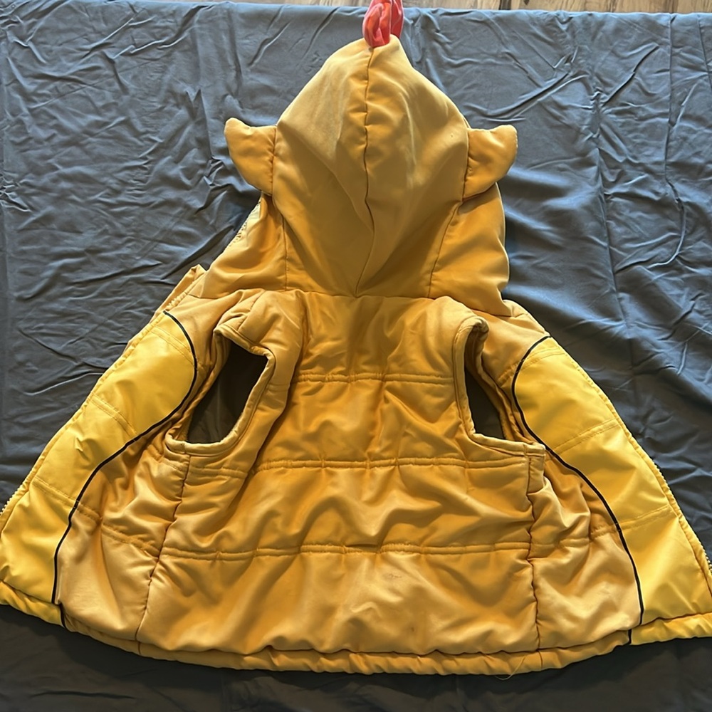 Disney Lion King Fleece Lined Hooded Vest Costume Toddler Size 2T Warm Outerwear - Picture 8 of 8